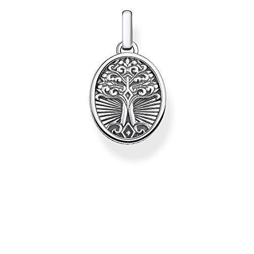 THOMAS SABO Hombre plata Colgante PE864-637-21