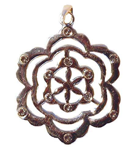 Saraswati Colgante Unisex Plata - AS259